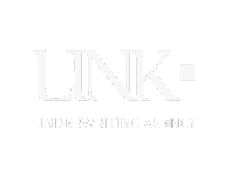 Link Logo